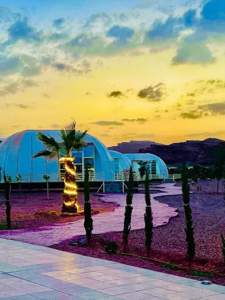 Rum Oasis Luxury Camp 와디럼 외부 사진